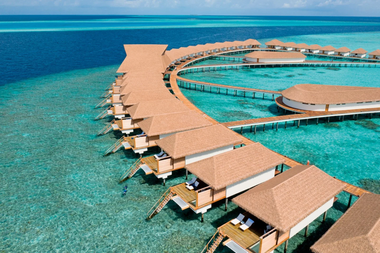 Cinnamon Velifushi 