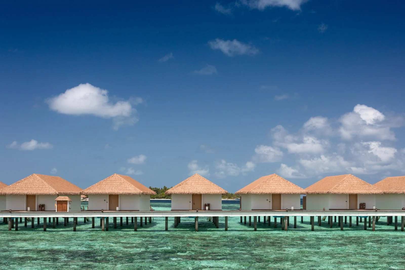 Cinnamon Velifushi 