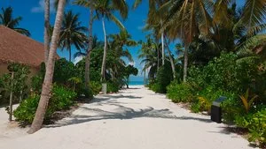 CINNAMON VELIFUSHI – Maldive