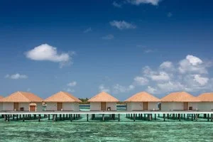 CINNAMON VELIFUSHI – Maldive