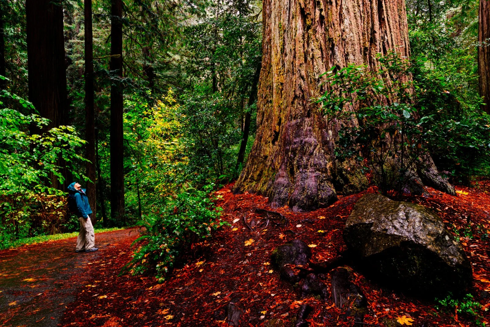 Yosemite area - Bakersfield - immagine 1 di 2