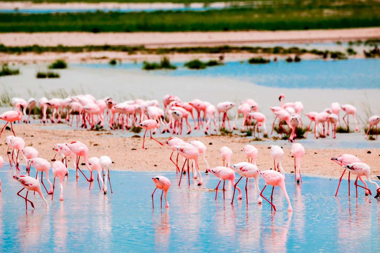 Windhoek - Parco Etosha - immagine 2 di 2