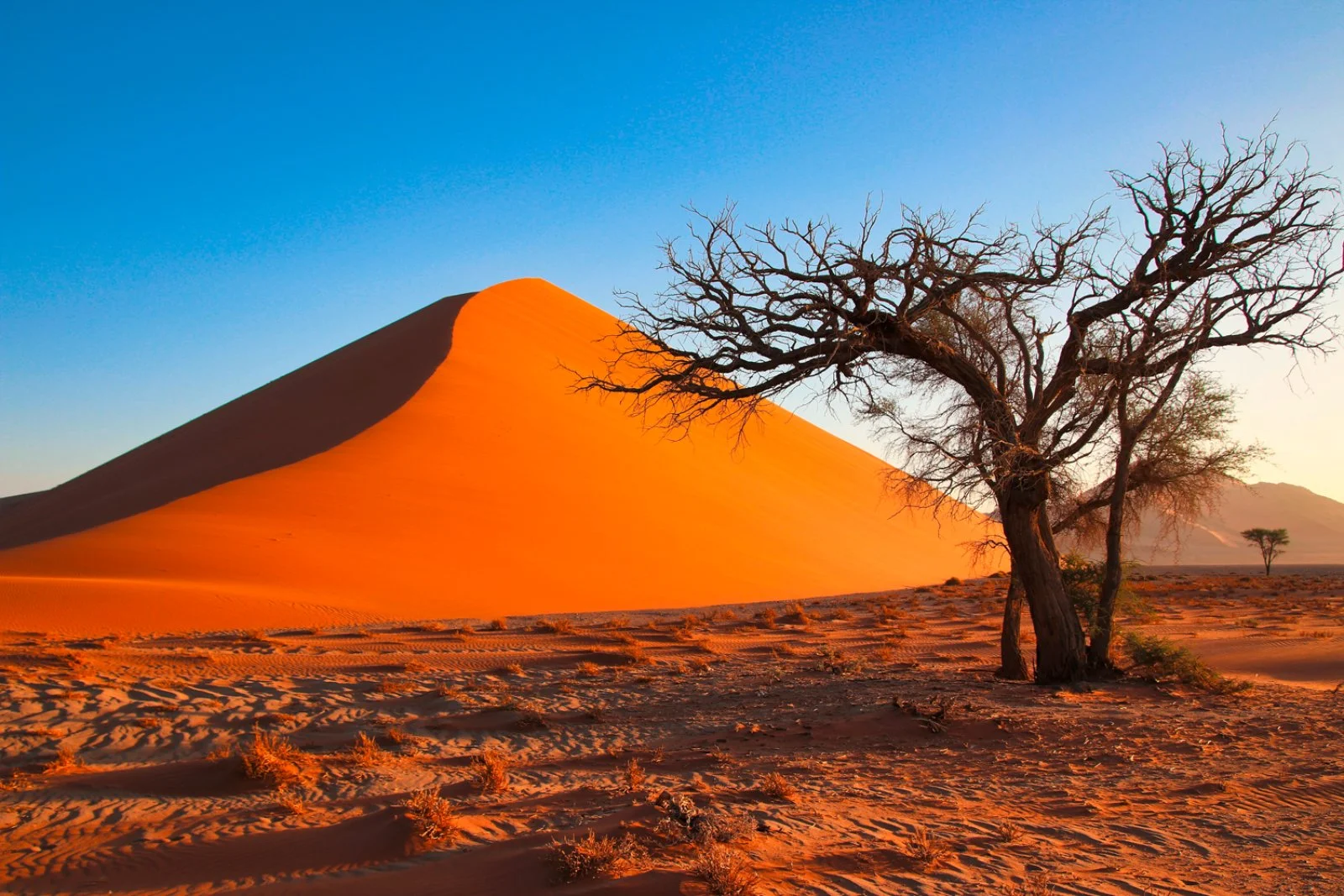 Parco Nazionale Namib Naukluft - Windhoek - immagine 1 di 2