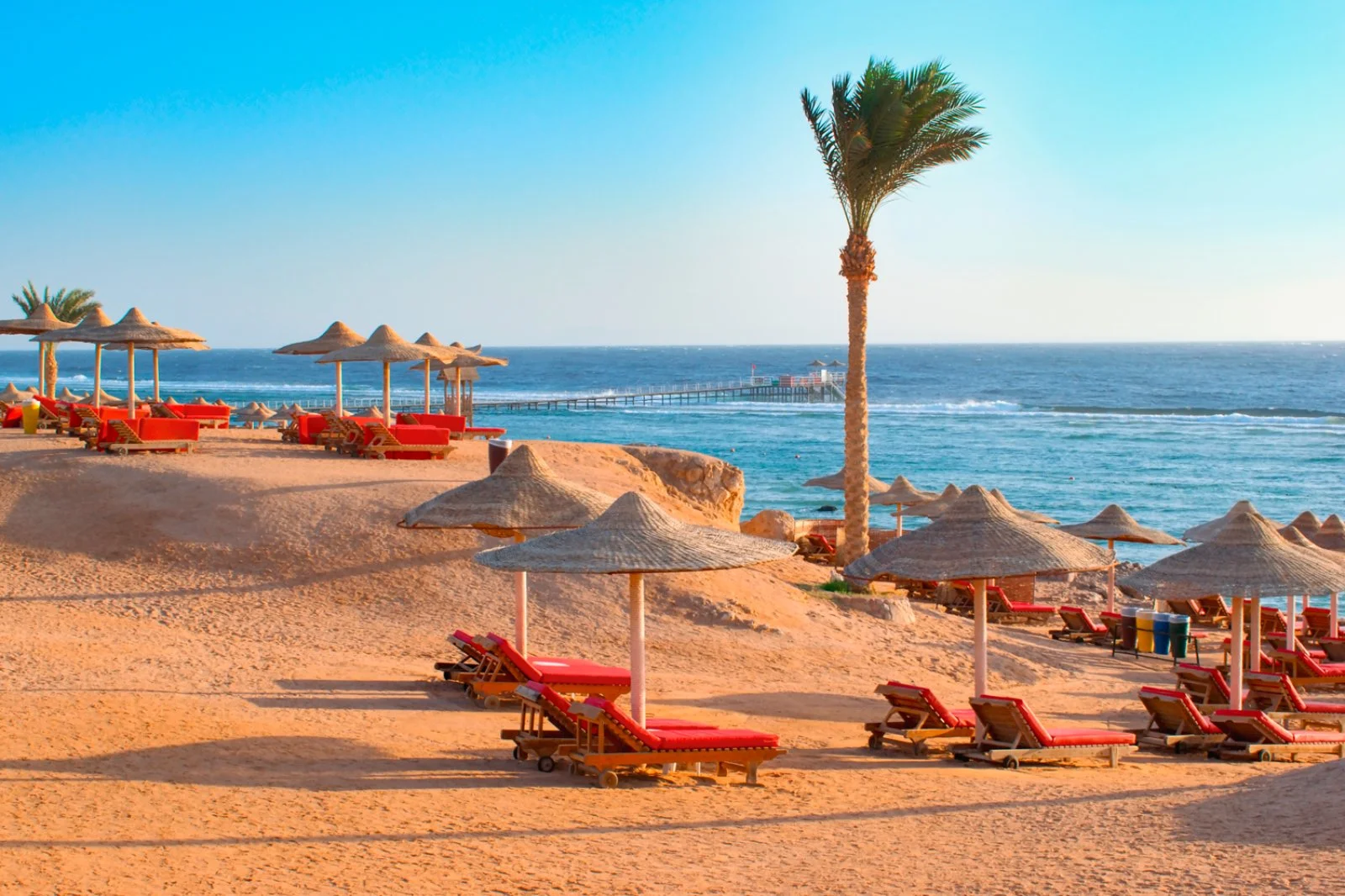 Aswan/Marsa Alam (480 km)