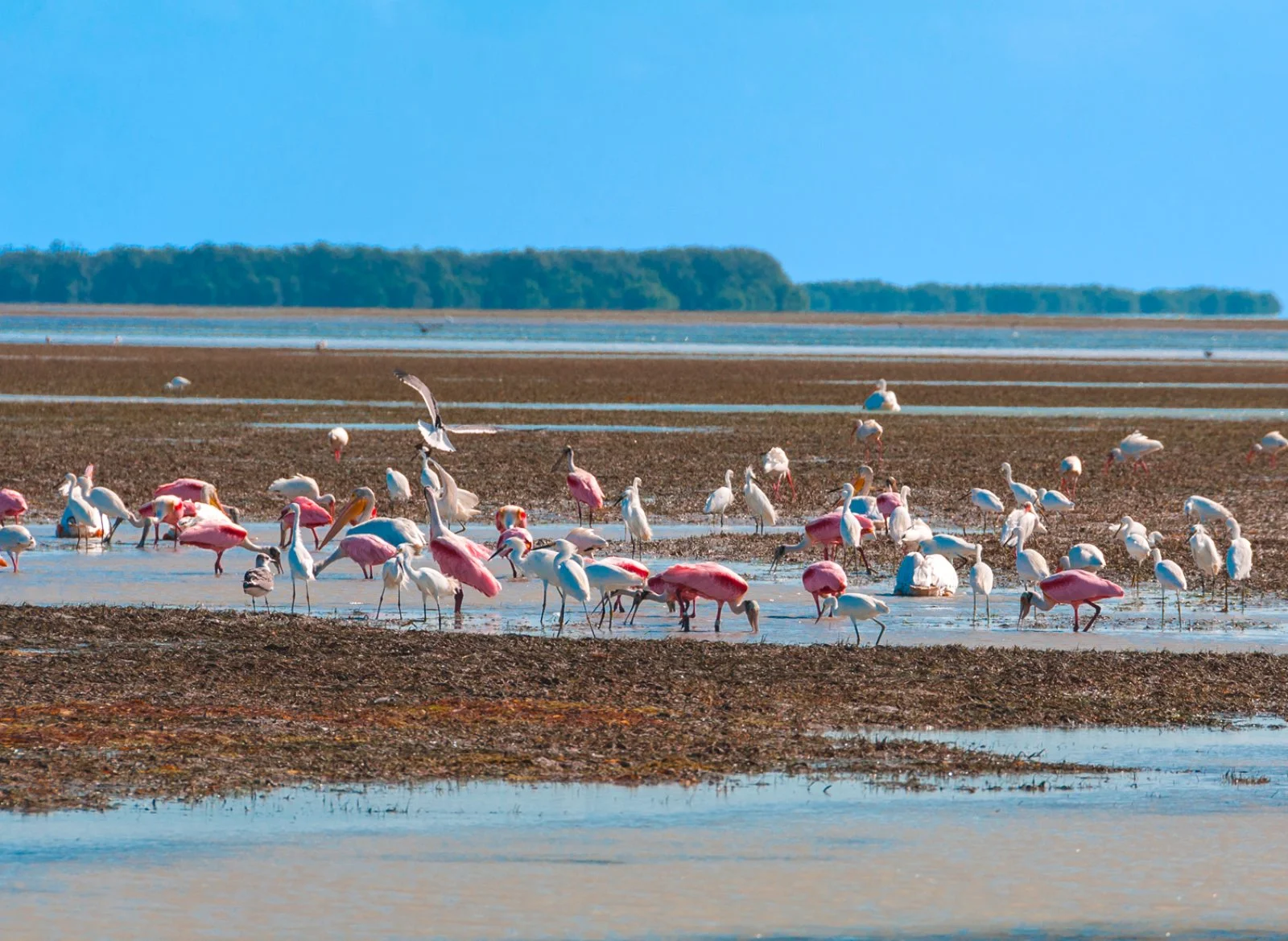 Key West - Fort Myers