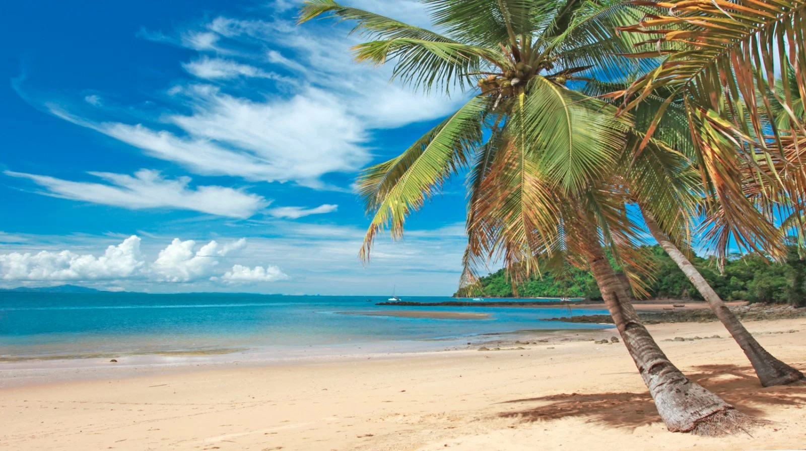 Loharano Lodge Loharano Lodge