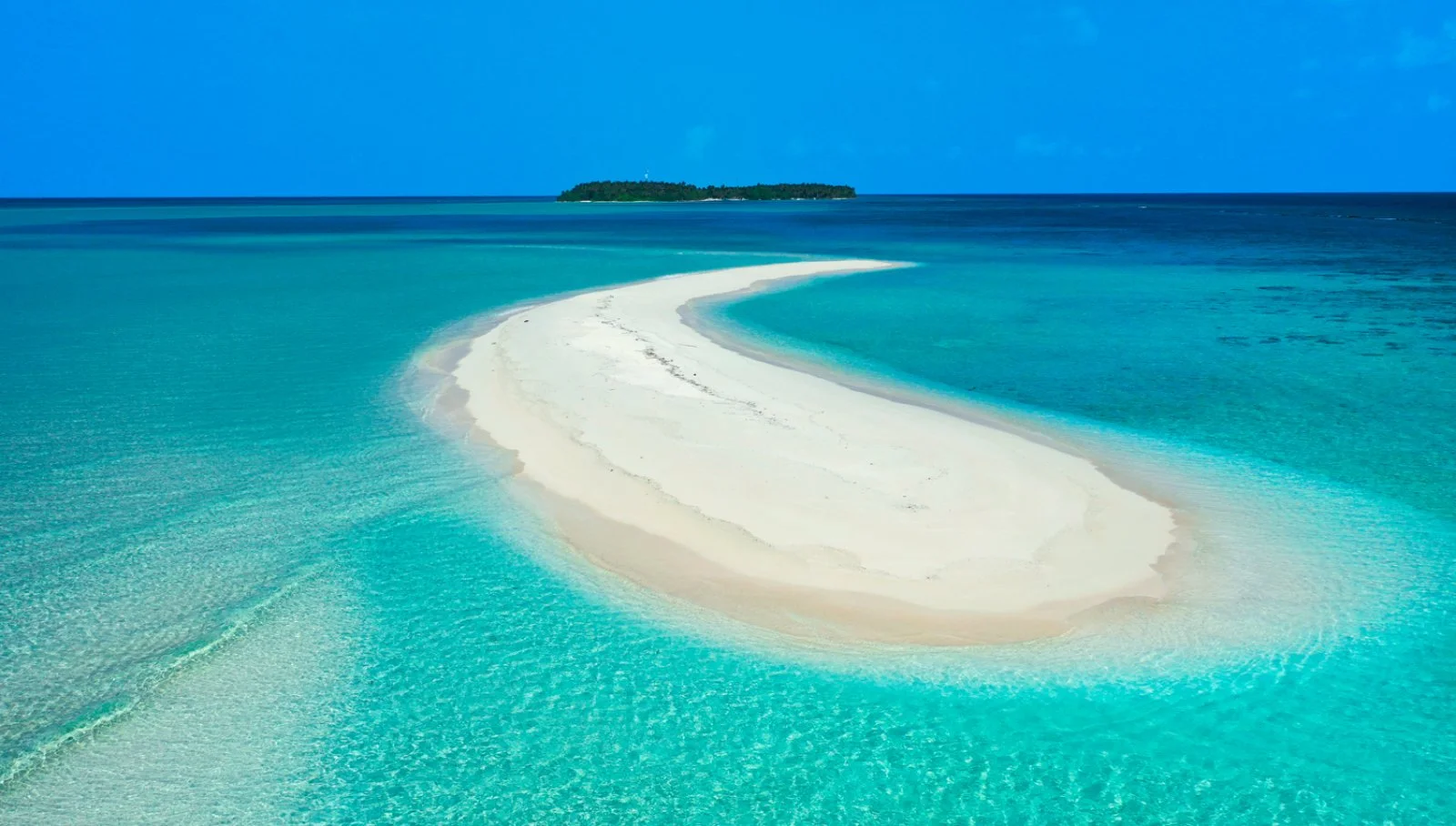 Maldive