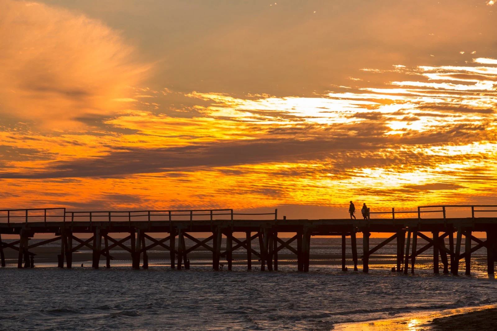 Monkey Mia - Carnarvon