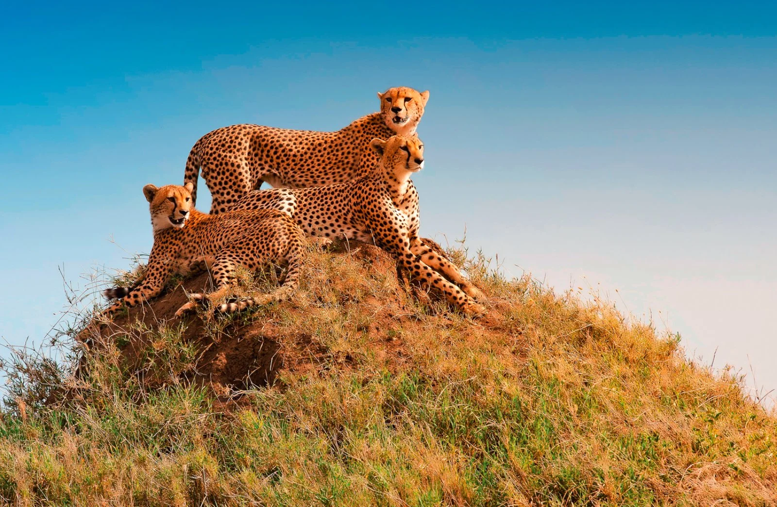 Lake Manyara - Serengeti Centrale