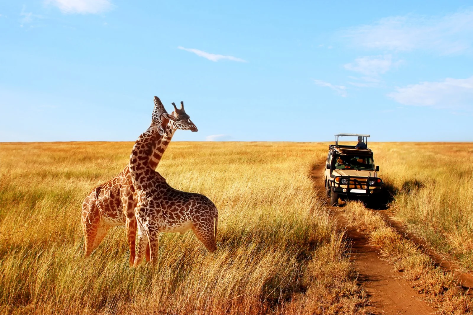 Arusha - Lake Manyara - immagine 2 di 2