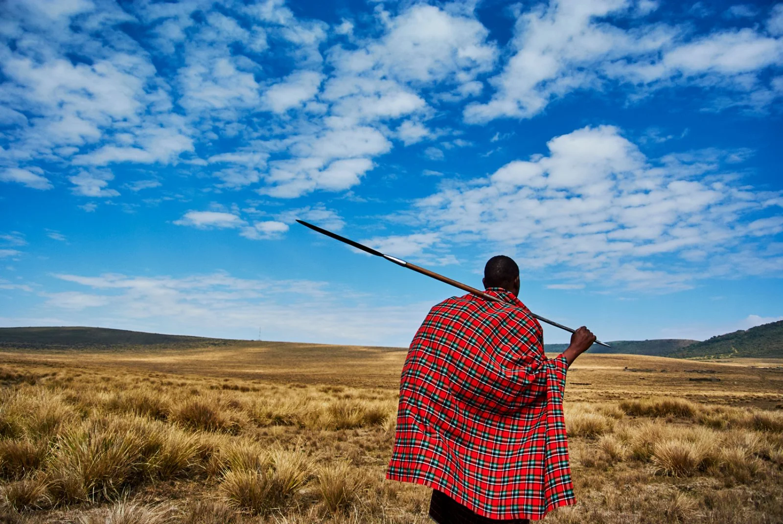 Serengeti National Park - Ngorongoro - immagine 3 di 3