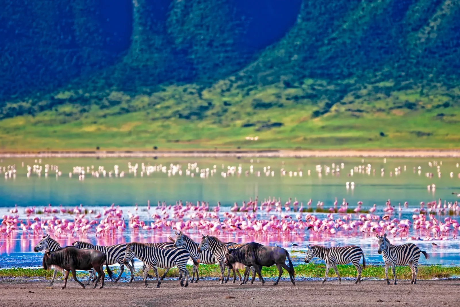 Ngorongoro - Arusha - Zanzibar - immagine 1 di 2