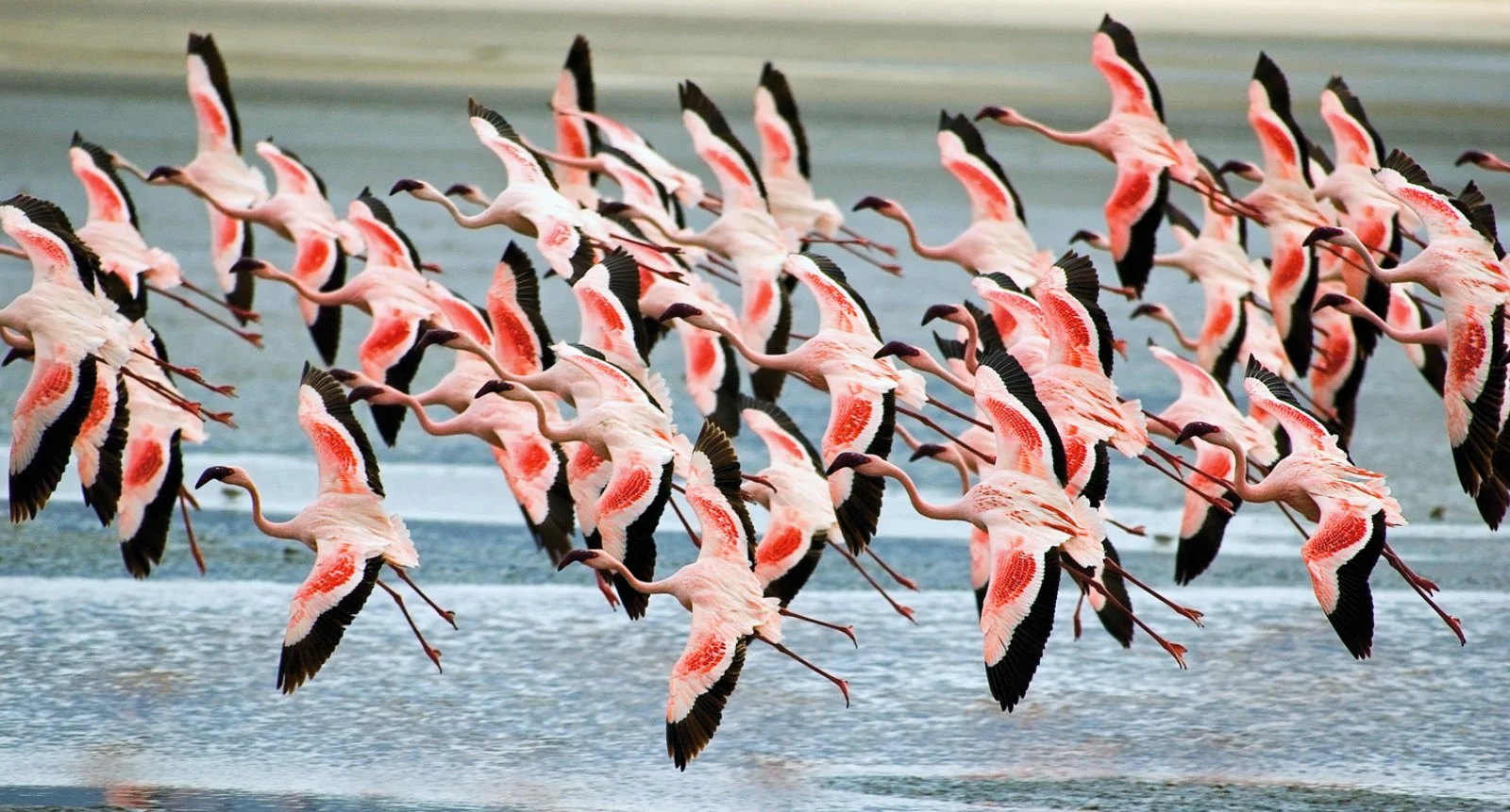 Serengeti Special - Ngorongoro Conservation Area