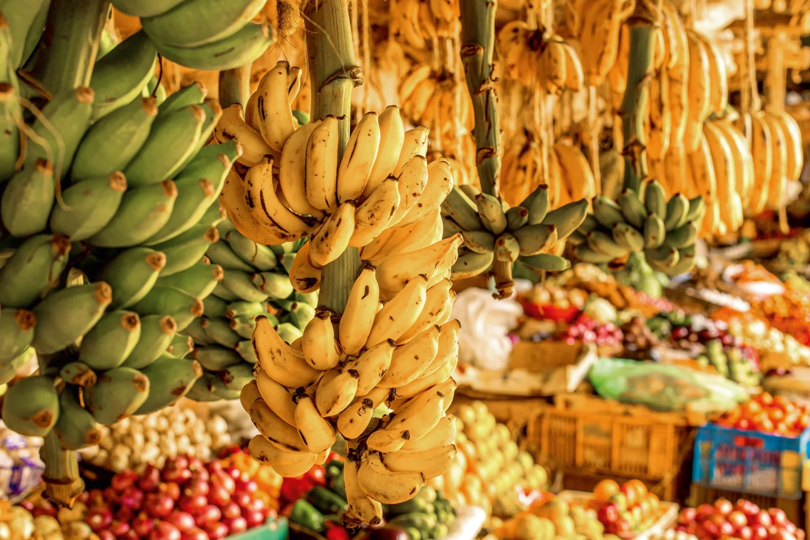 Nairobi