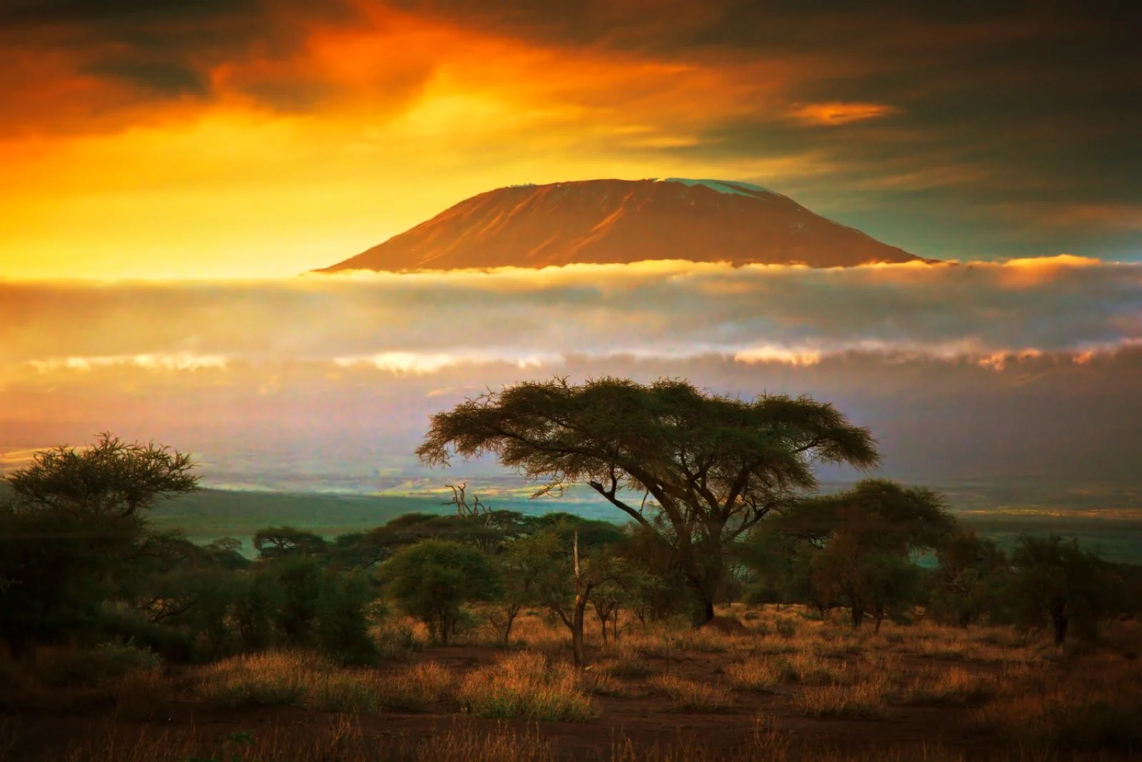 Tsavo Est - Amboseli National Park