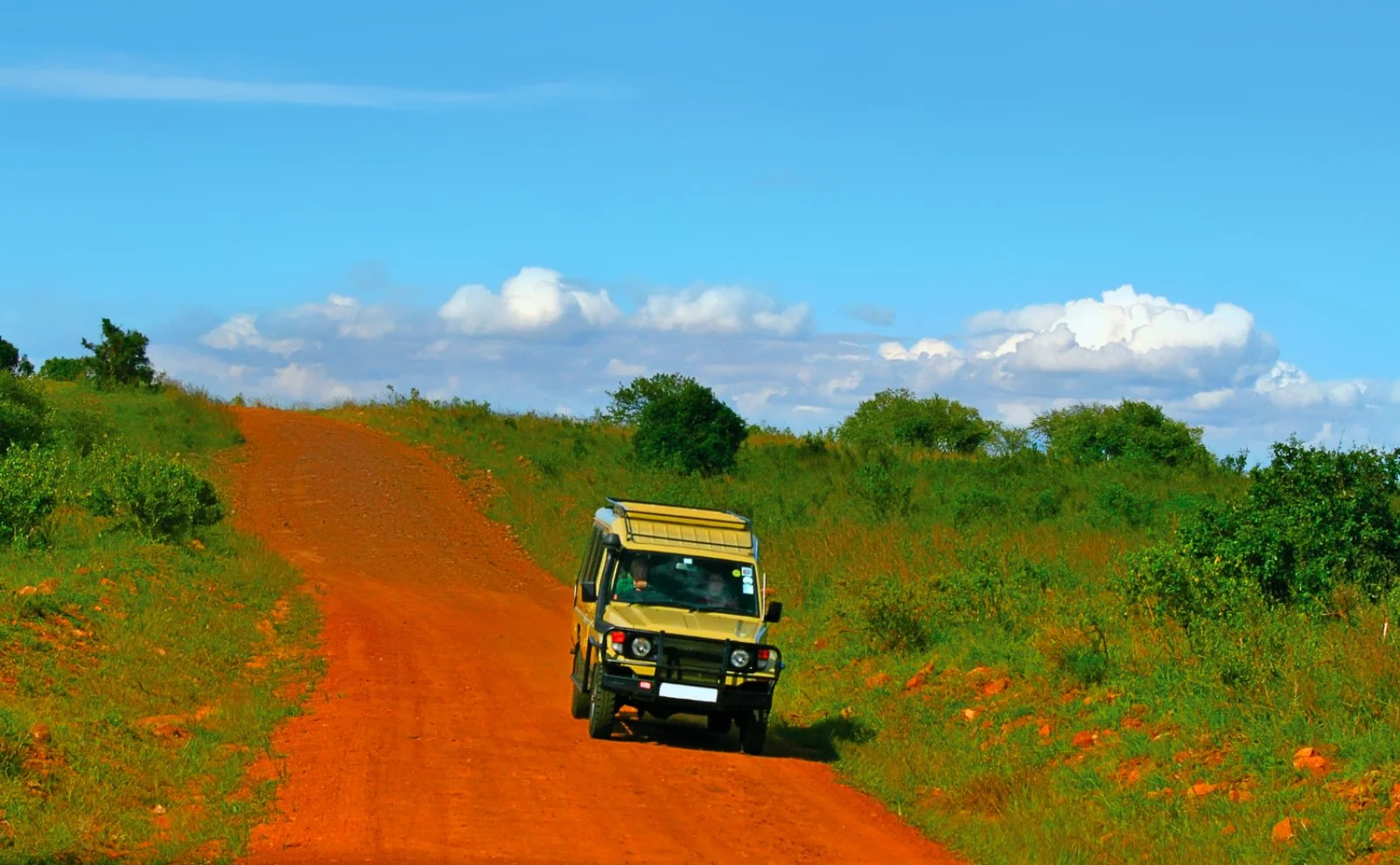 Amboseli - Taita Hills - immagine 1 di 2