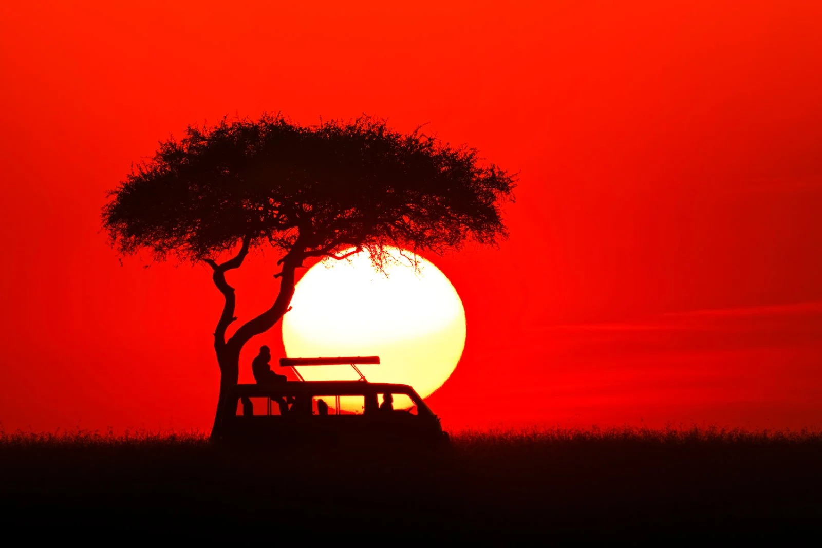 Amboseli - Taita Hills - immagine 2 di 2