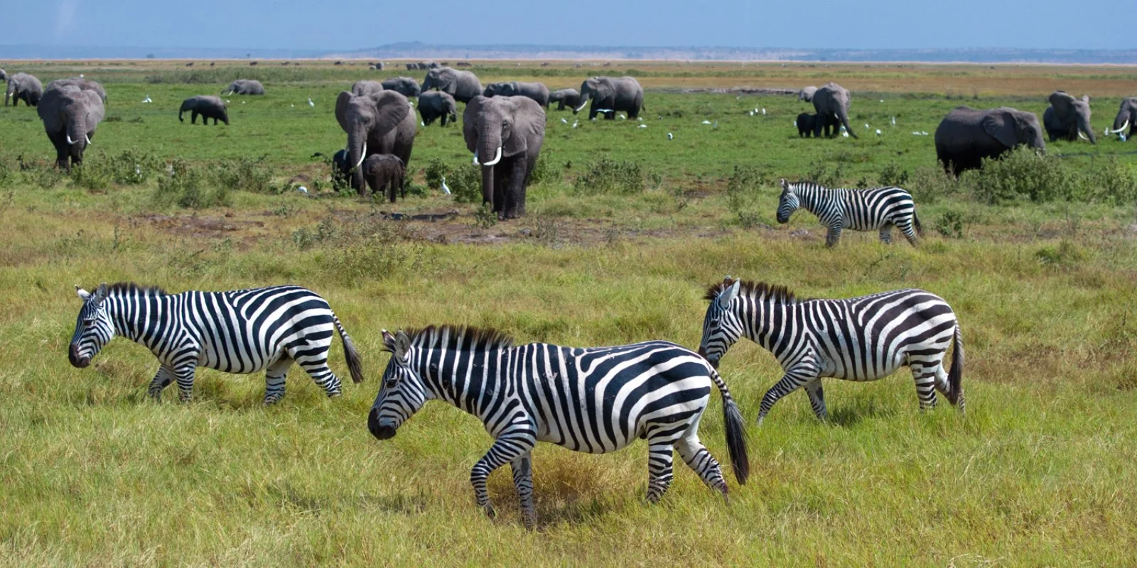 Mombasa/Tsavo Ovest (265 km)