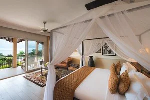 Jr suite