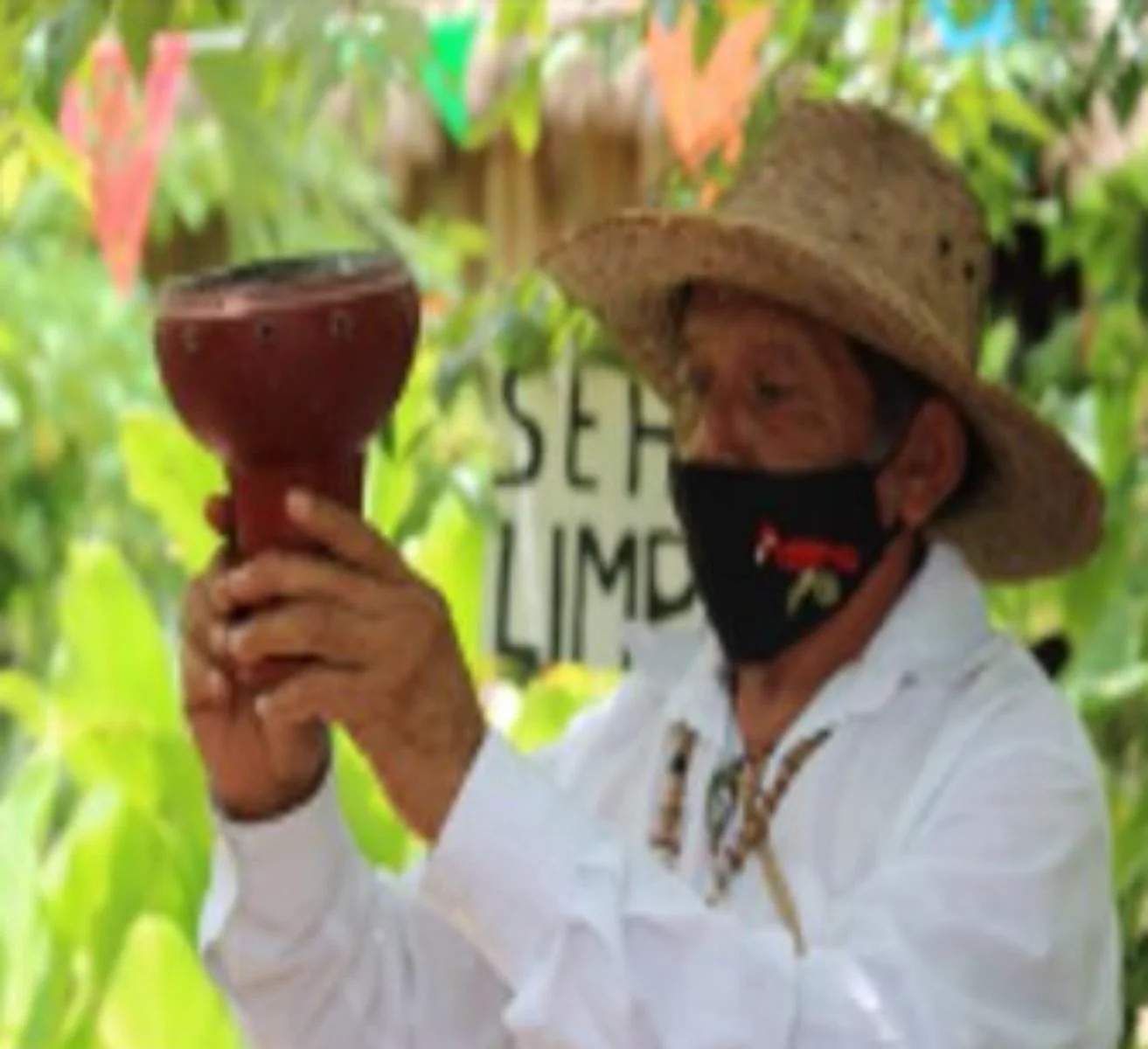 Valladolid/Punta Laguna/Aldea Coba/Mahahual - immagine 3 di 4