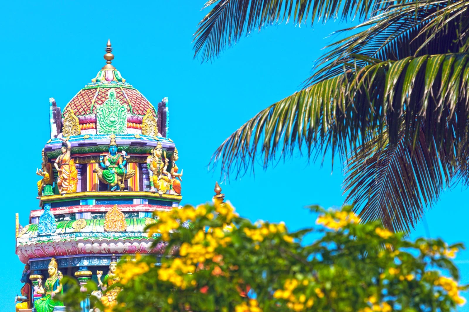 Queenstown - Denarau