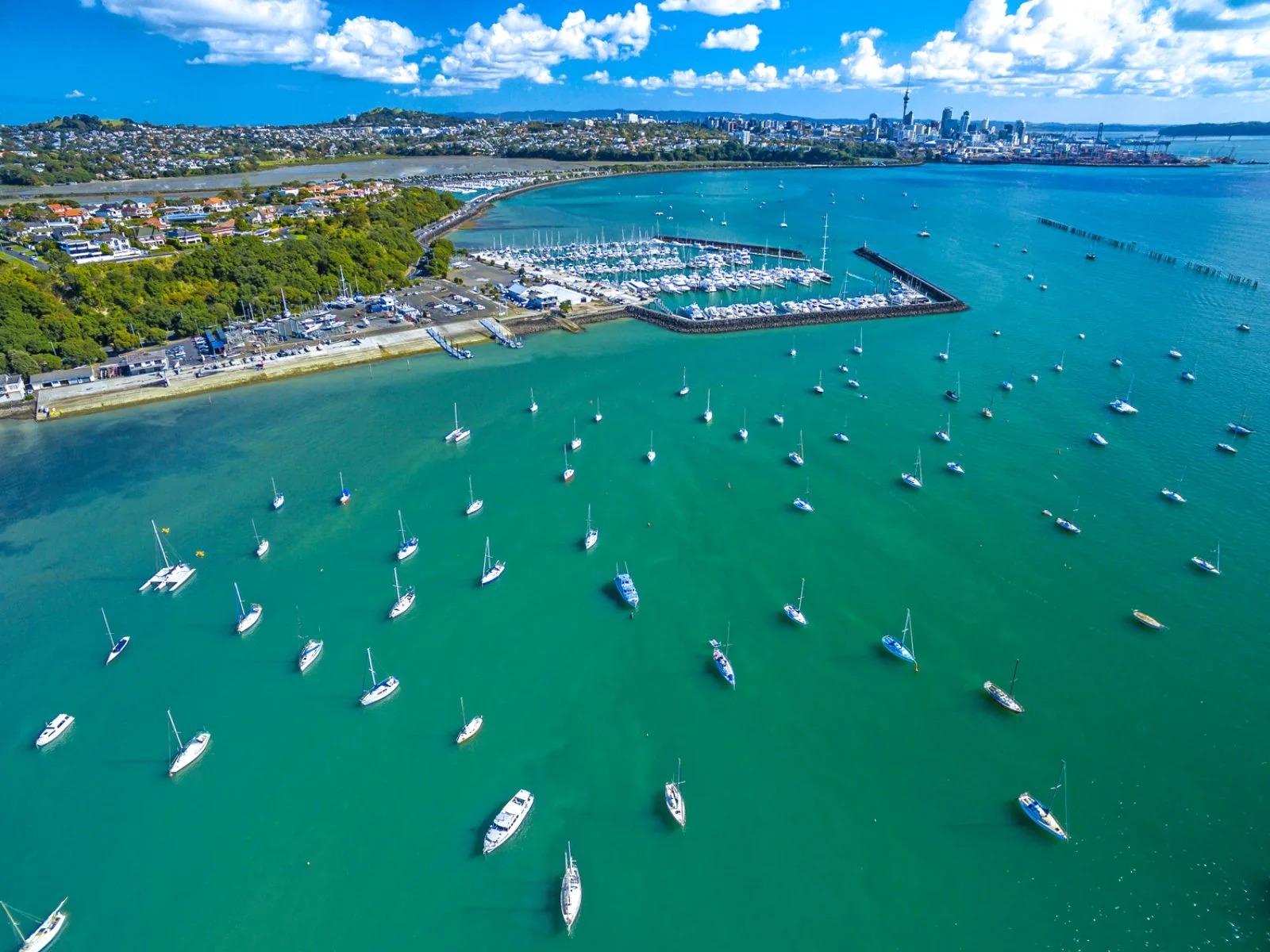 19° giorno Nadi - Auckland