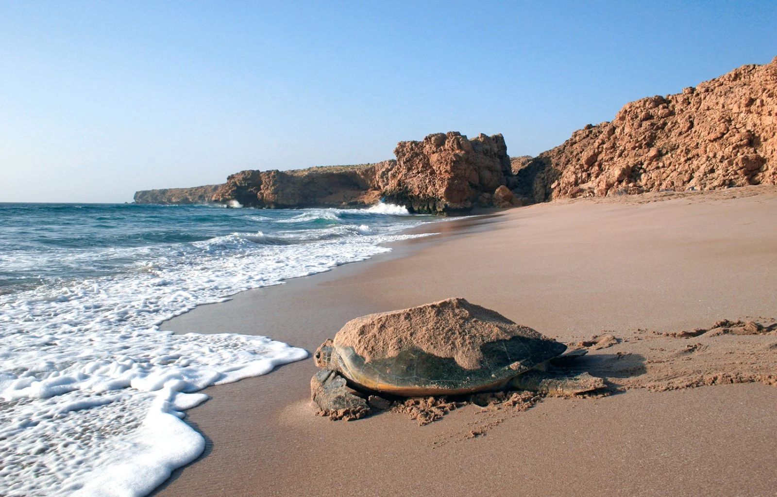 Muscat - Bimah Sinkhole - Wadi Shab - Wadi Tiwi - Ras Al Jinz - Sur