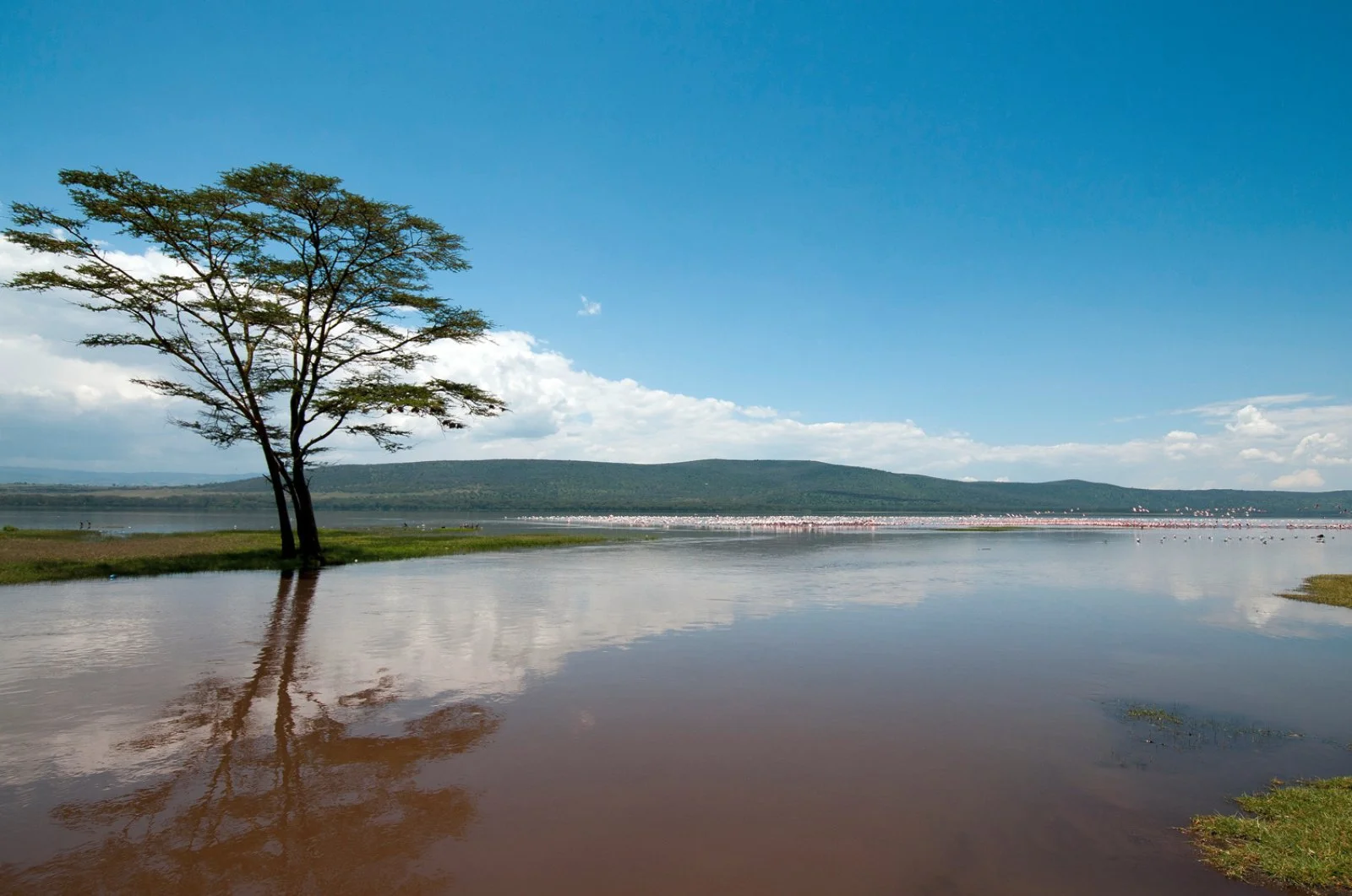 Aberdare - Lago Nakuru