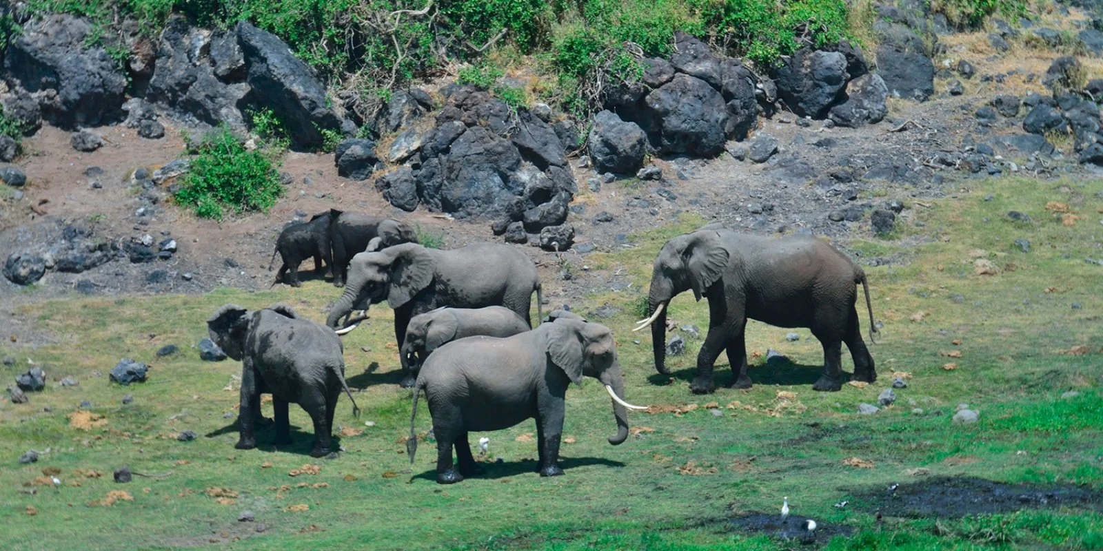 Tsavo, Amboseli E Mare 