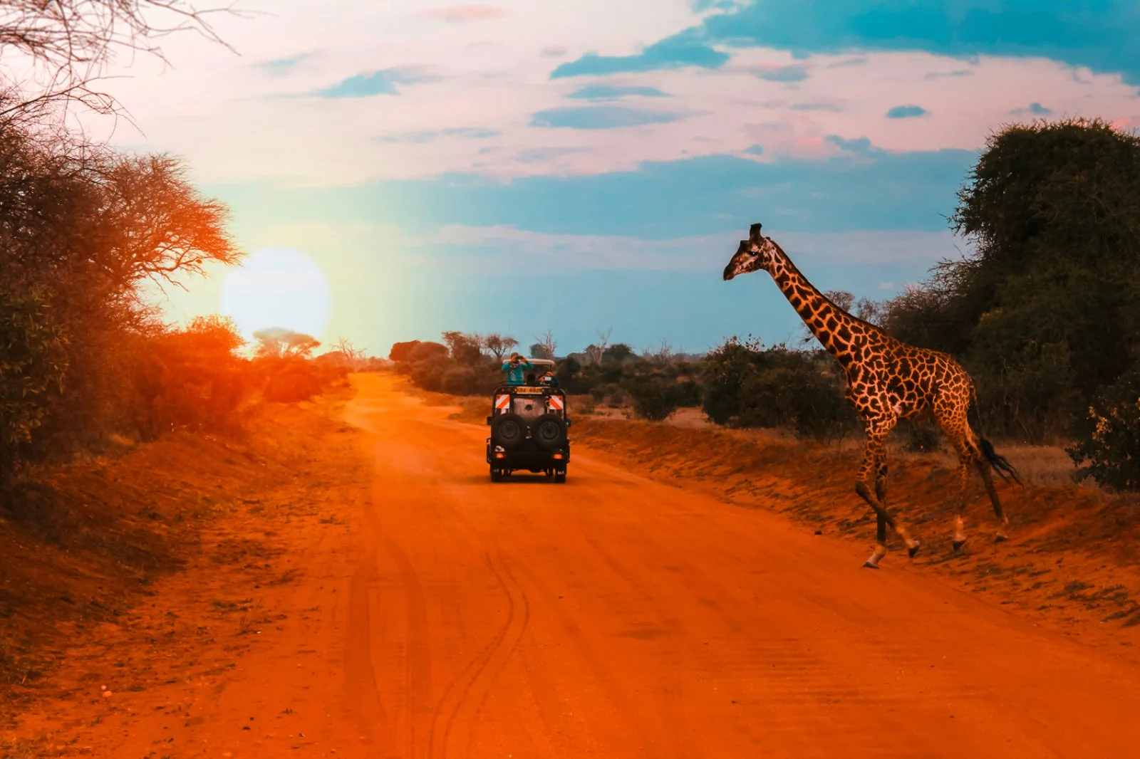 Tsavo, Amboseli E Mare Tsavo, Amboseli E Mare