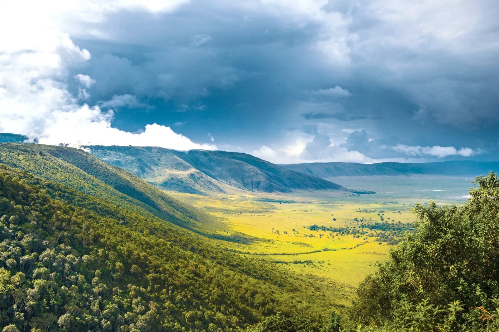SERENGETI/NGORONGORO/KARATU (215 km)