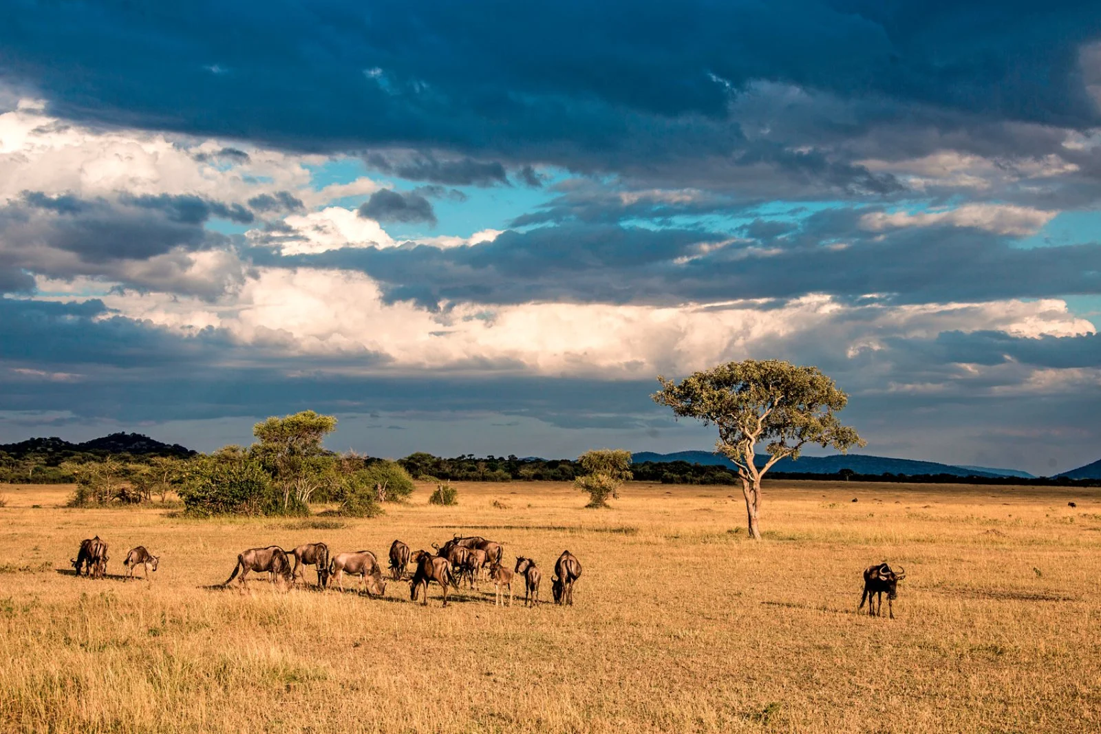 Zanzibar/Arusha/Ngorongoro (180 km)