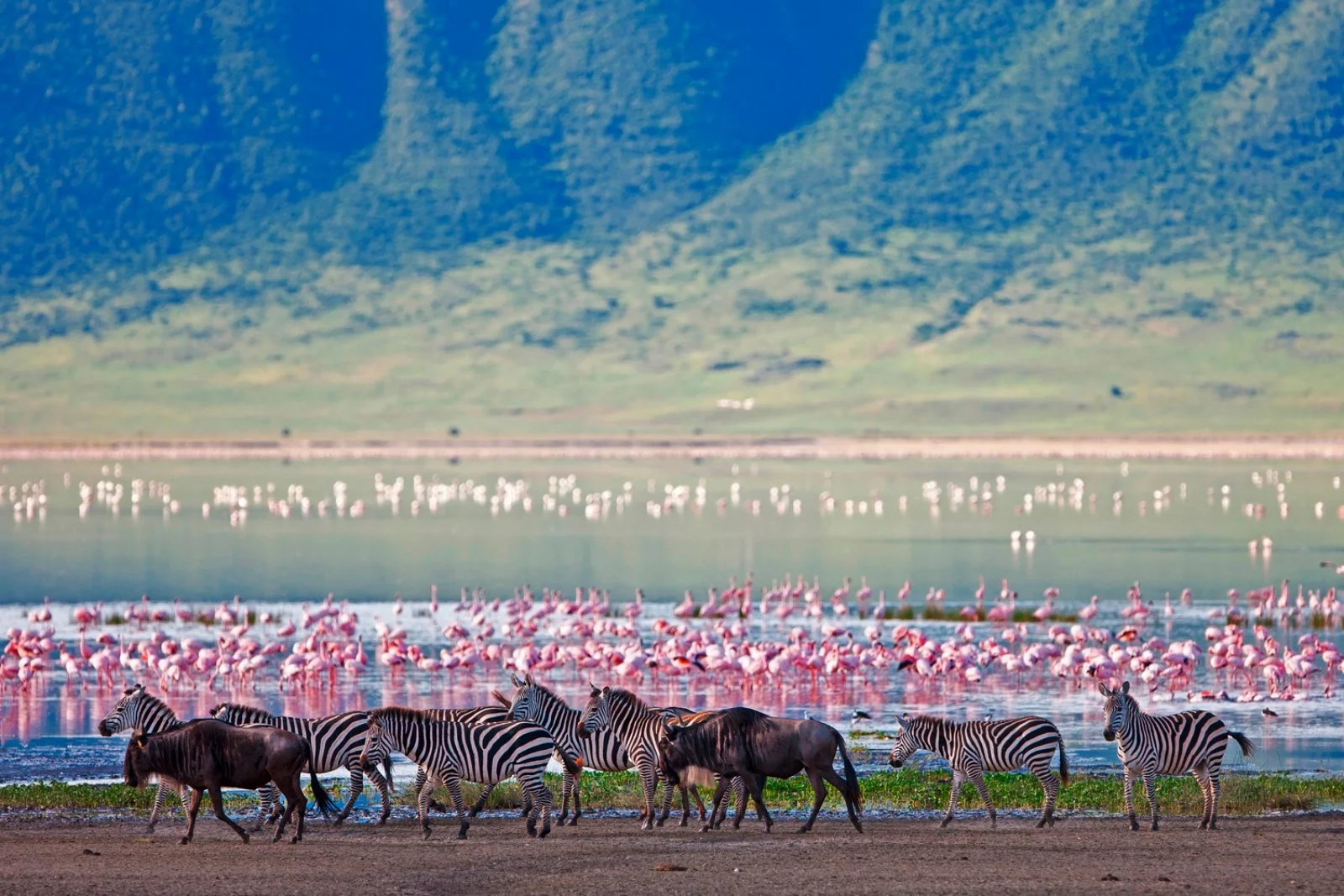 Ngorongoro/Serengeti (180 km)