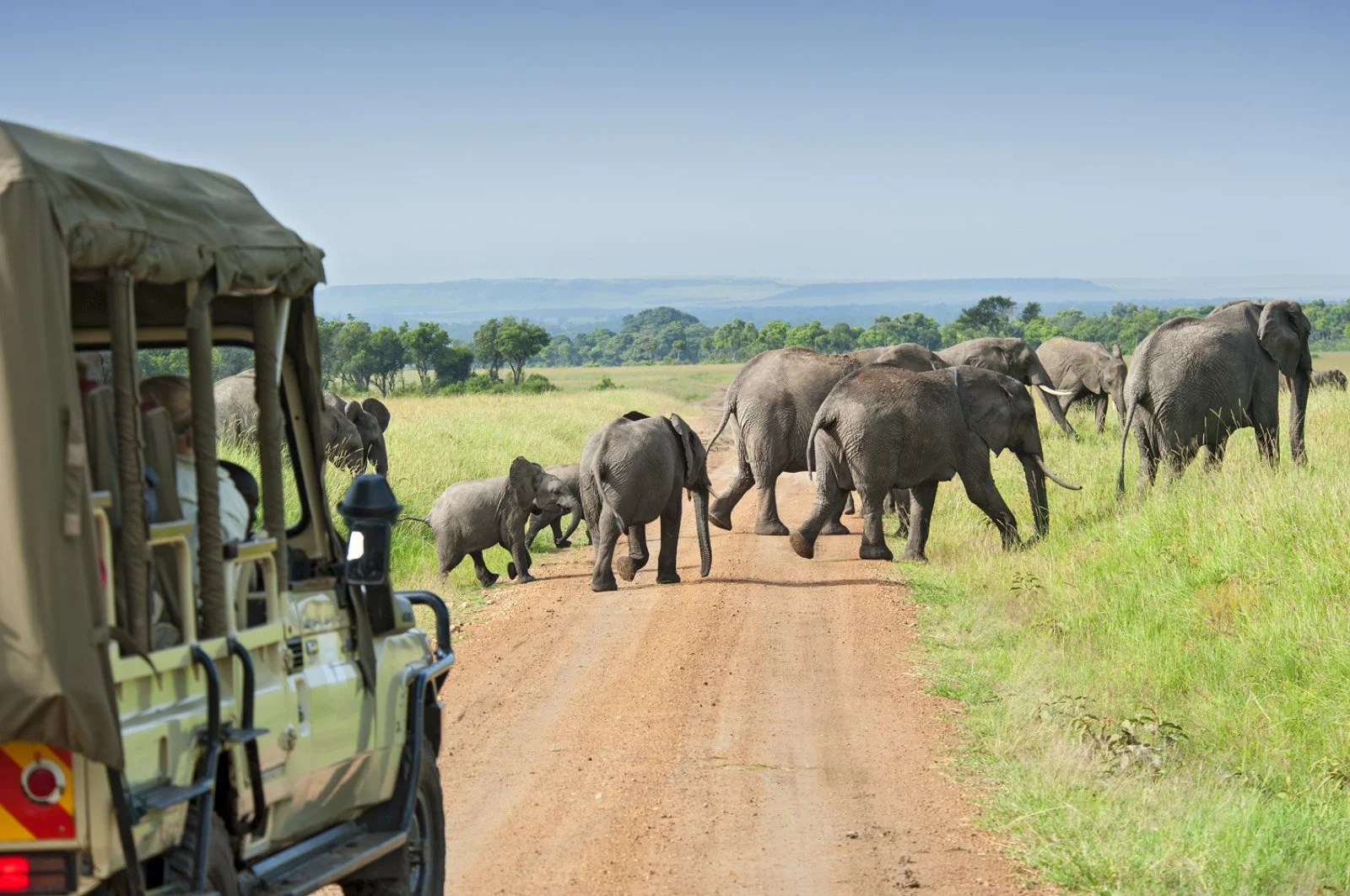 Serengeti