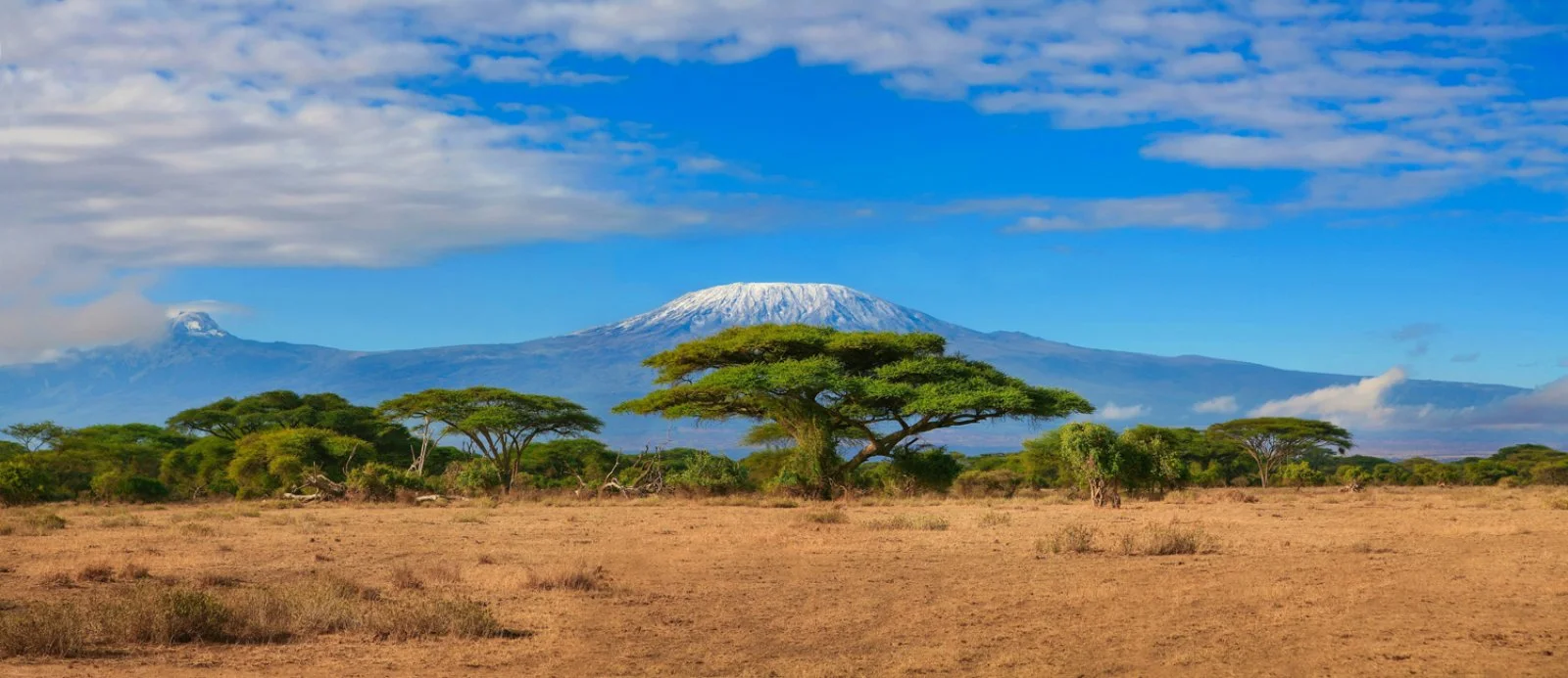 Manyara/Serengeti (200 km)