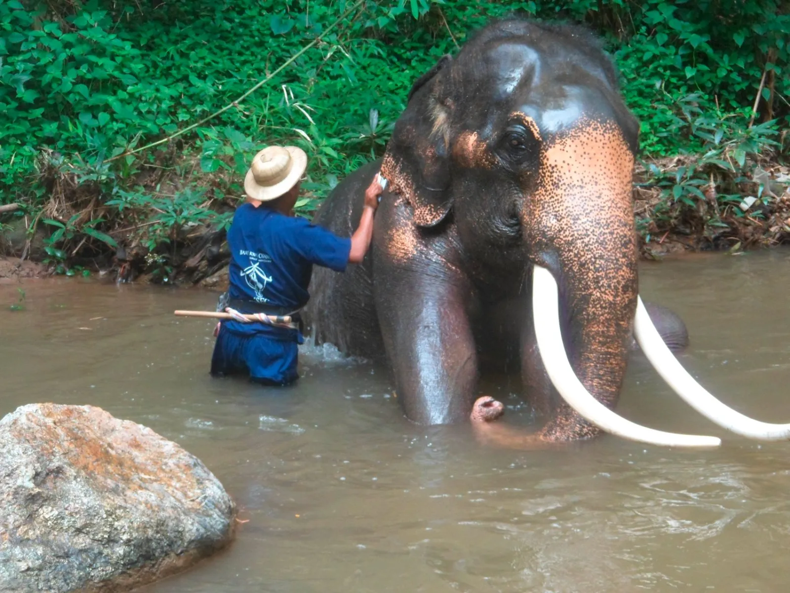 Chiang Mai