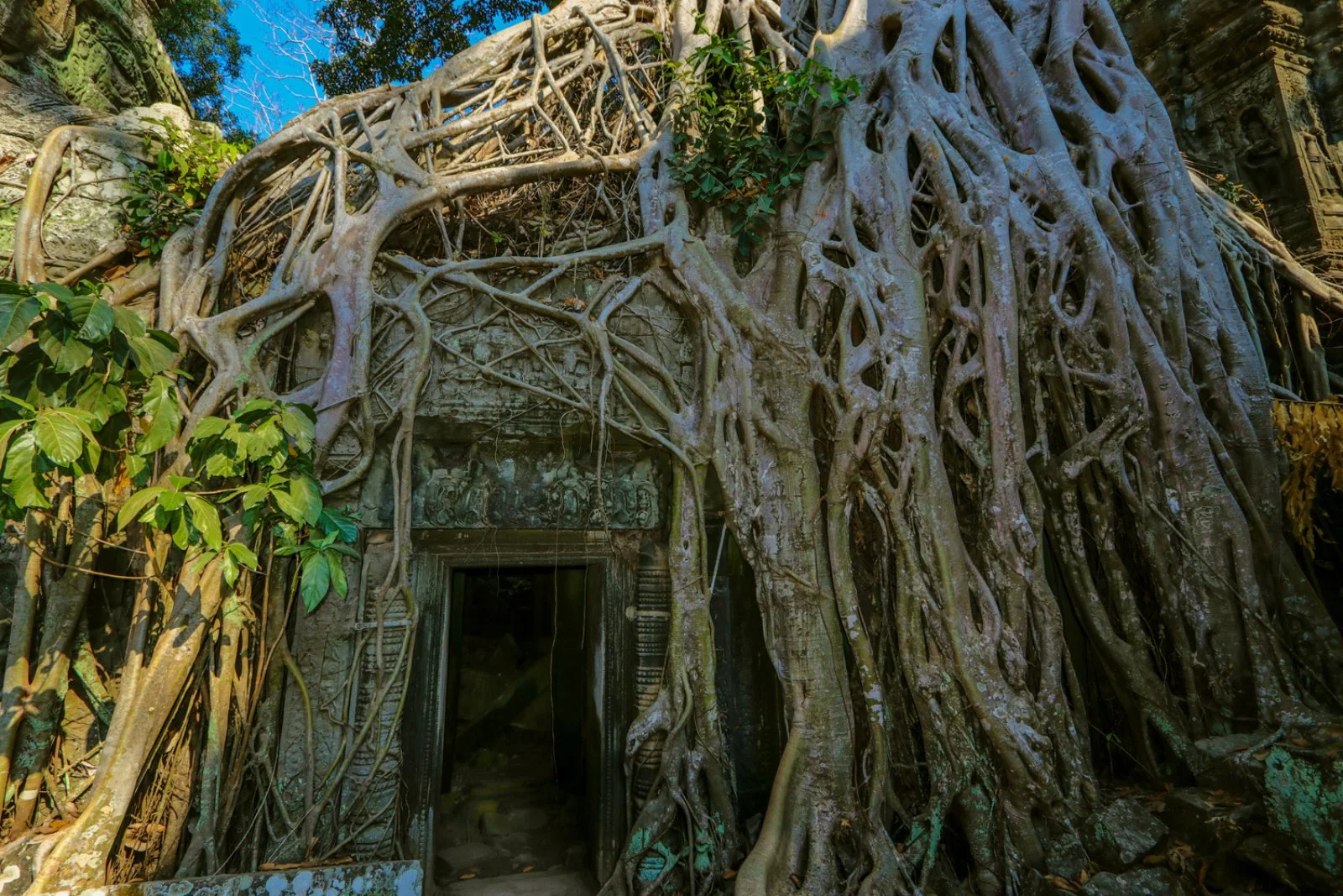 Angkor