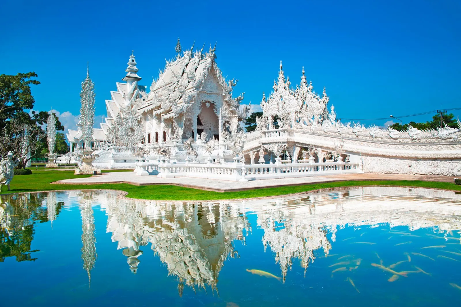 Thailandia Magica - Chiang Rai - Wat Rong Khun