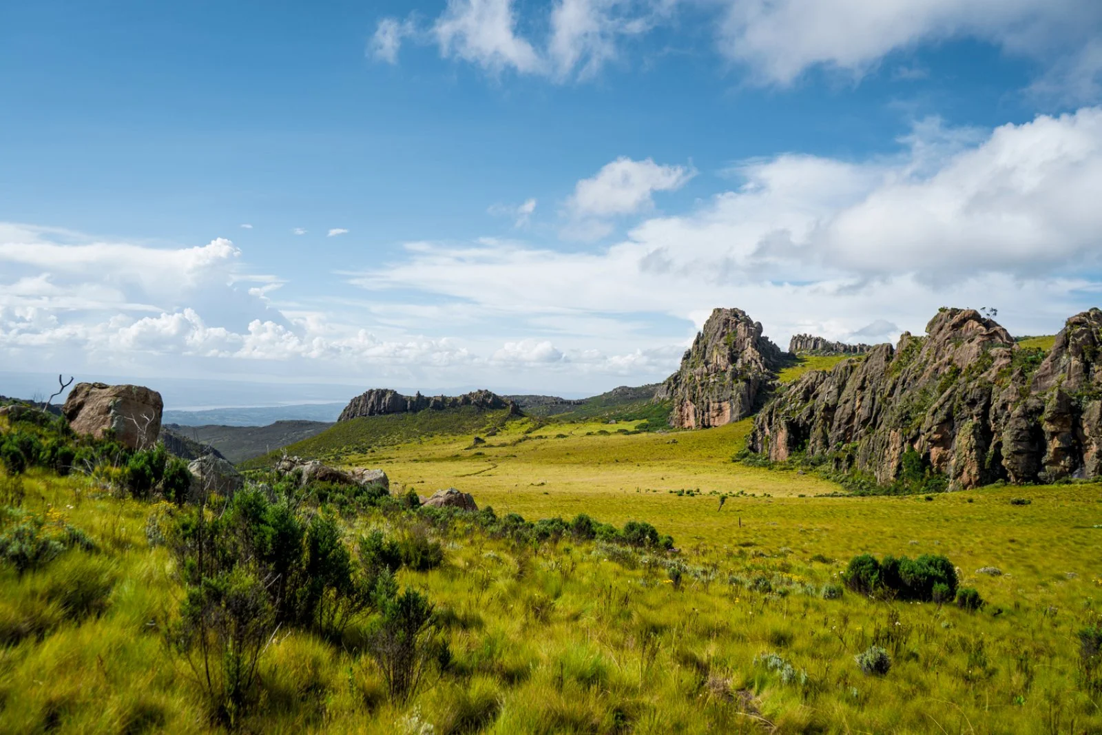 Samburu - Aberdare