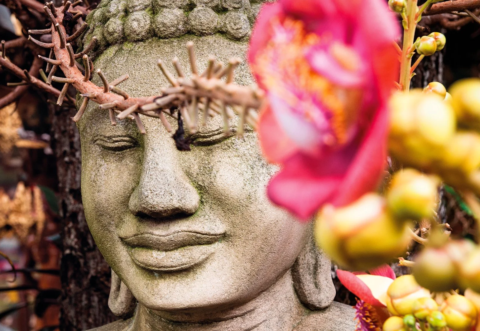 Phnom Penh E Siem Reap 