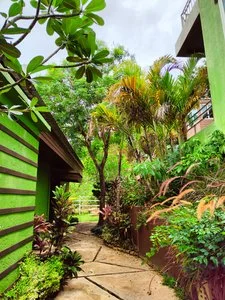 PHUKET JUNGLE EXPERIENCE RESORT – Thailandia