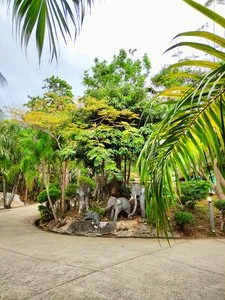 PHUKET JUNGLE EXPERIENCE RESORT – Thailandia