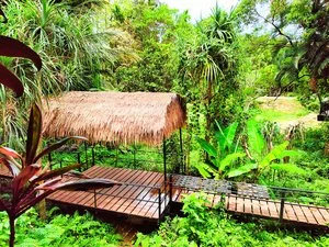 PHUKET JUNGLE EXPERIENCE RESORT – Thailandia