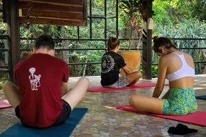 PHUKET JUNGLE EXPERIENCE RESORT – Thailandia