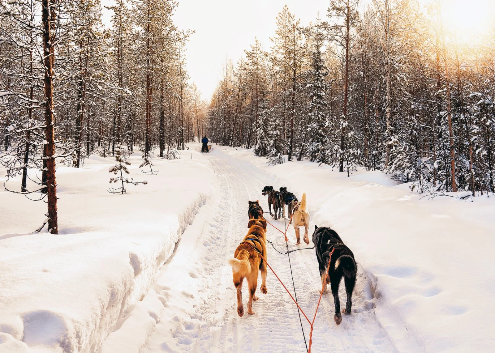 Rovaniemi City Break 