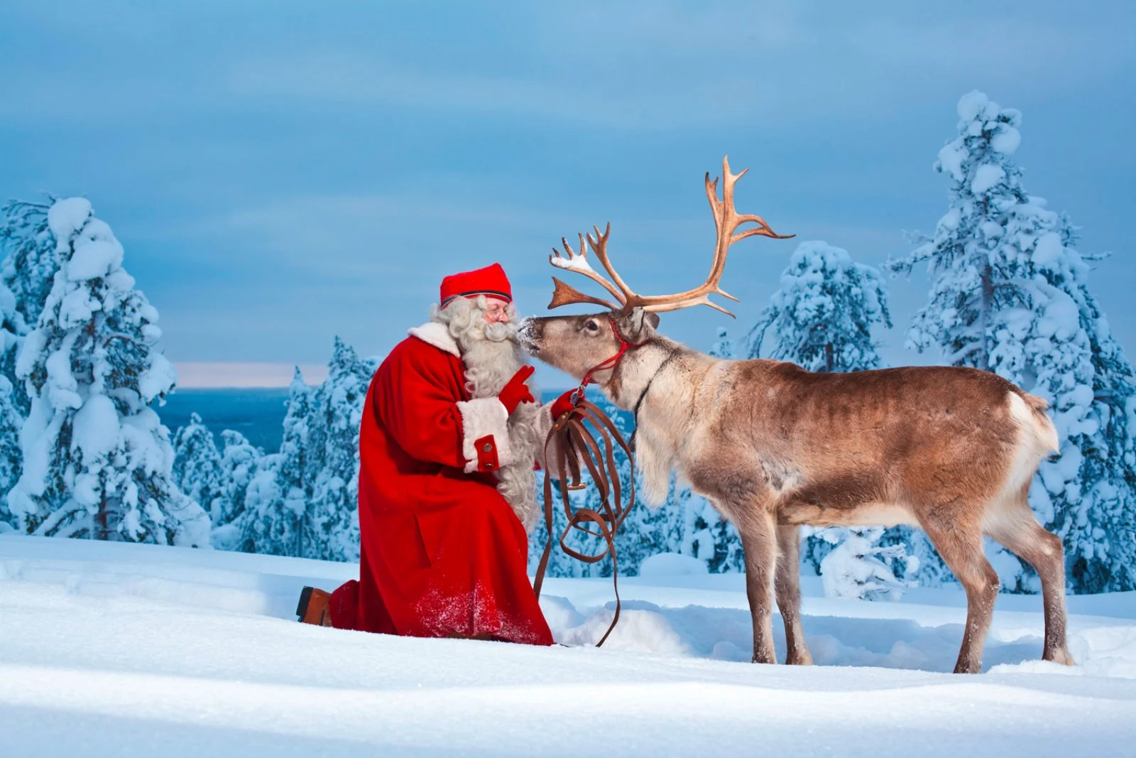 Rovaniemi City Break 