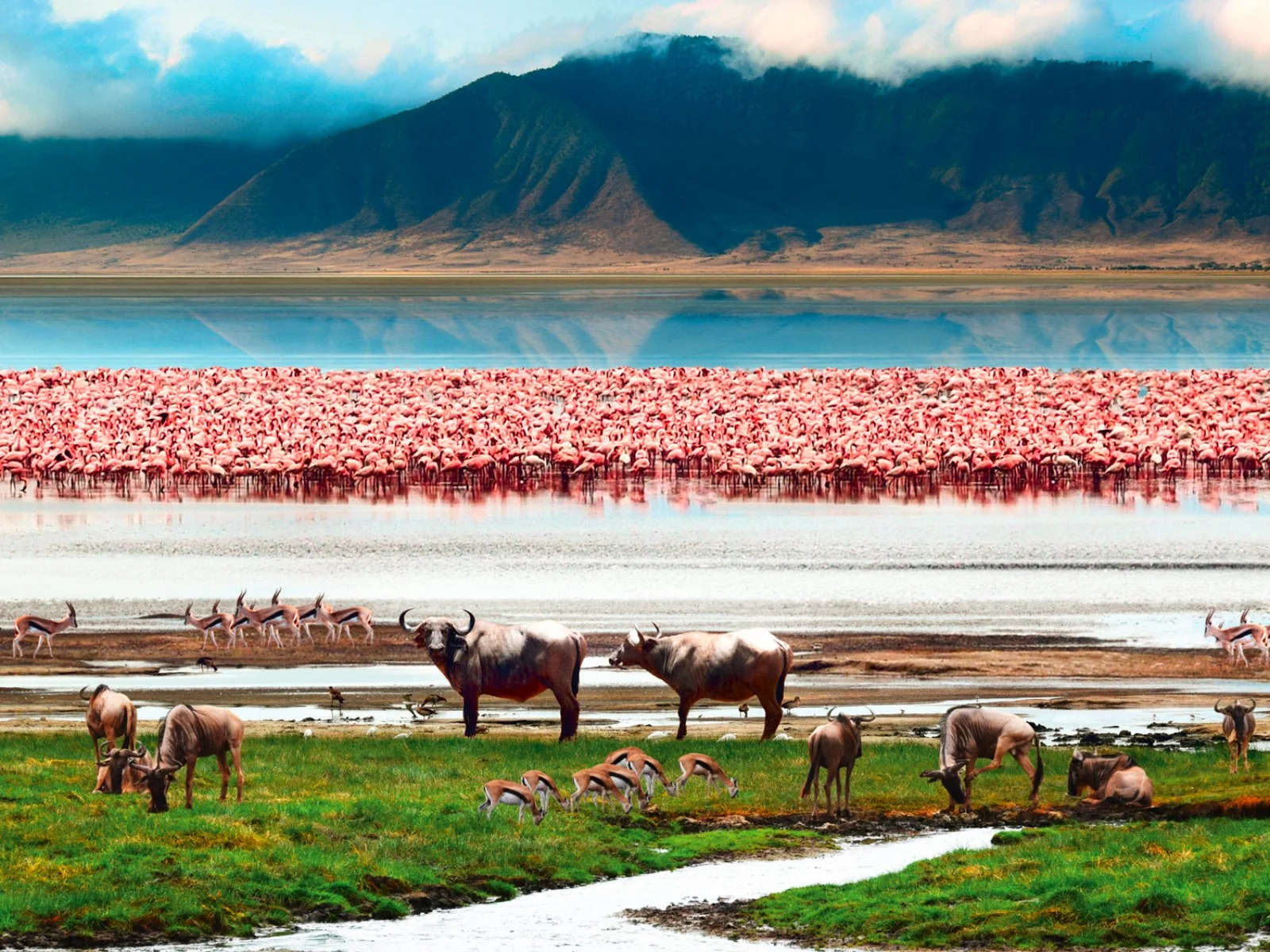 Arusha - Lake Manyara - Karatu