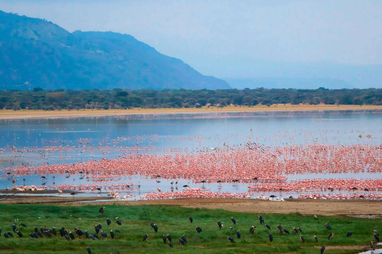 Arusha - Lake Manyara - Karatu