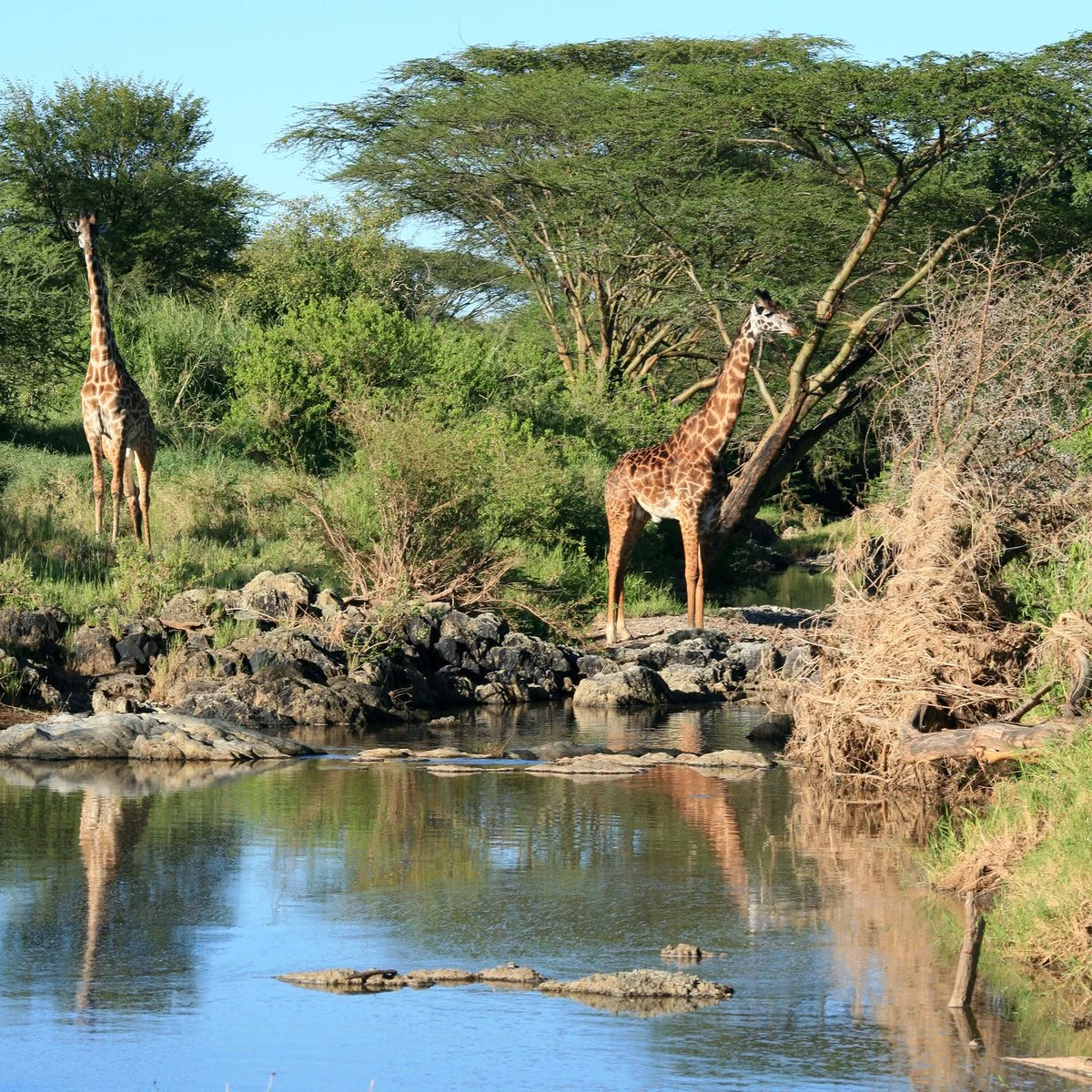 Serengeti National Park