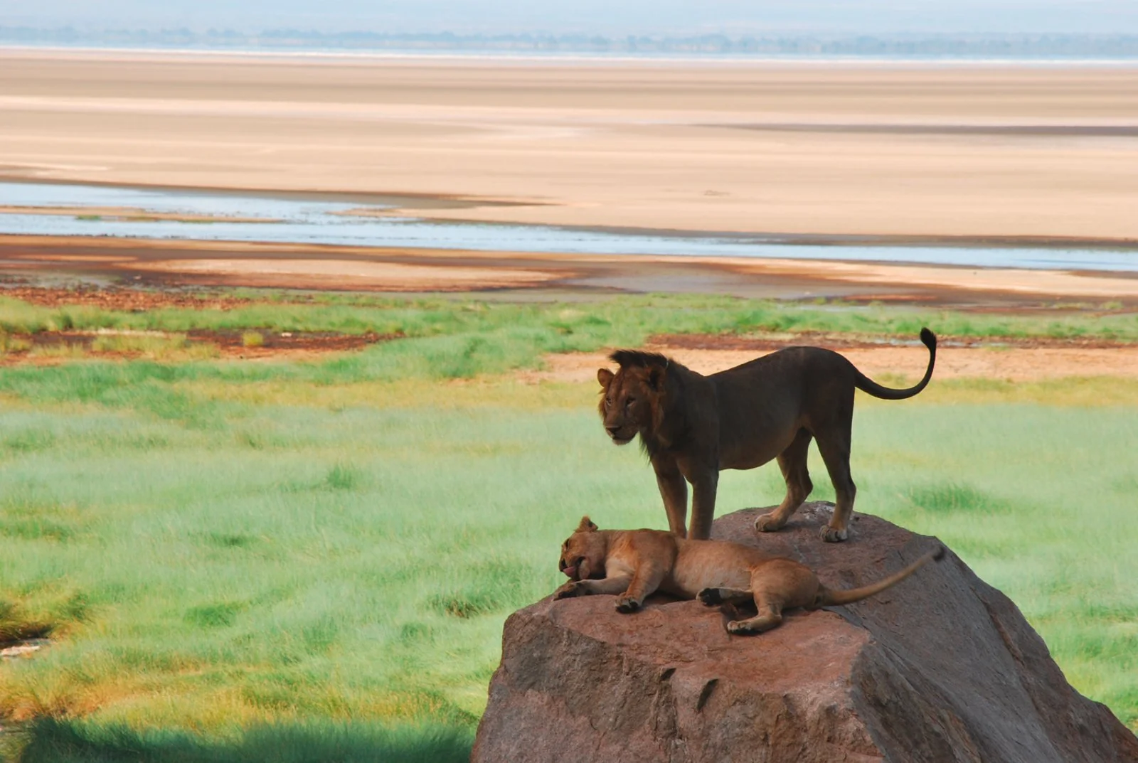 Arusha - Lake Manyara - Karatu